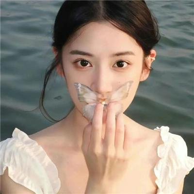 动物的秘密生活